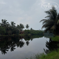 фото из отзыва ID 2736746