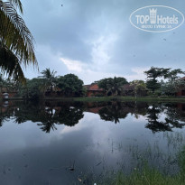 фото из отзыва ID 2736746