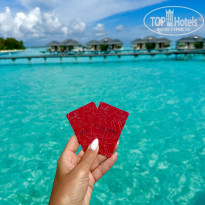 фото из отзыва ID 2736665