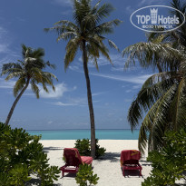 фото из отзыва ID 2736665