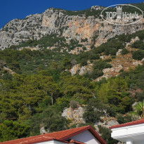 фото из отзыва ID 2736771