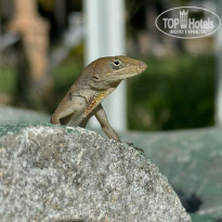 фото из отзыва ID 2736780