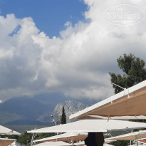 фото из отзыва ID 2736781