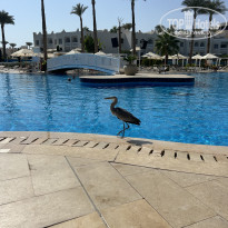 фото из отзыва ID 2736795