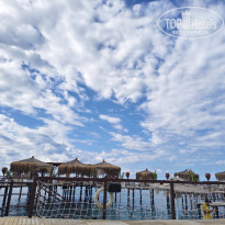 фото из отзыва ID 2736801