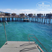 фото из отзыва ID 2736801