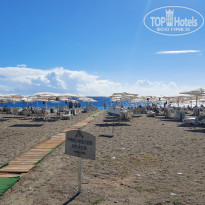 фото из отзыва ID 2736781