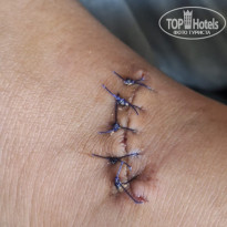 фото из отзыва ID 2736852