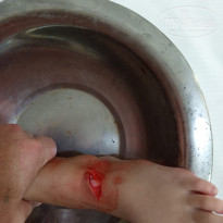 фото из отзыва ID 2736852