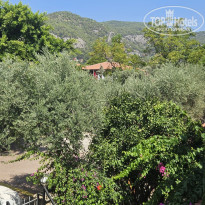 фото из отзыва ID 2736860