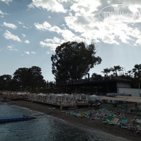 фото из отзыва ID 2736865