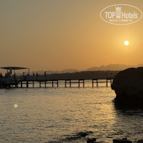 фото из отзыва ID 2736880