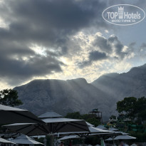 фото из отзыва ID 2736884