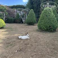 фото из отзыва ID 2736884