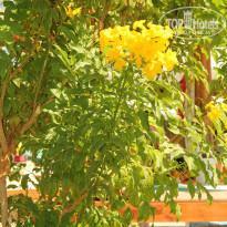 фото из отзыва ID 2736892