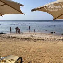 фото из отзыва ID 2736898