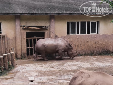 Shengming International Hotel (Chongqing Jiangbei Airport T3 Terminal) 4*