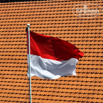 фото из отзыва ID 2736937