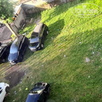 фото из отзыва ID 2736937