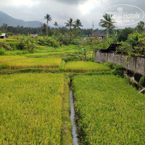 фото из отзыва ID 2736937