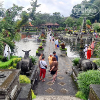 фото из отзыва ID 2736937