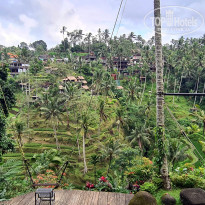 фото из отзыва ID 2736937