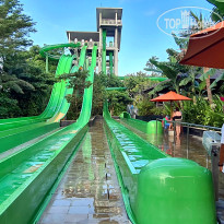 фото из отзыва ID 2736937