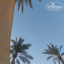 фото из отзыва ID 2736942