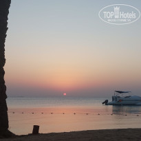 фото из отзыва ID 2736942