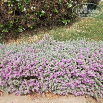 фото из отзыва ID 2736943