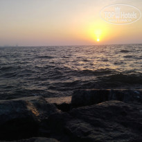 фото из отзыва ID 2736944