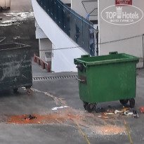 фото из отзыва ID 2736957