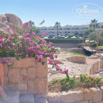 фото из отзыва ID 2736961