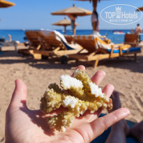 фото из отзыва ID 2736961