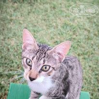 фото из отзыва ID 2736962