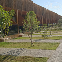 фото из отзыва ID 2736963