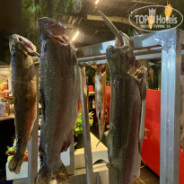 фото из отзыва ID 2736971