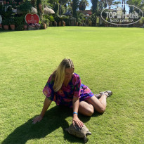 фото из отзыва ID 2736971