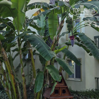 фото из отзыва ID 2736977