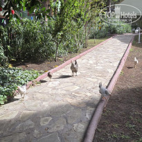 фото из отзыва ID 2736977