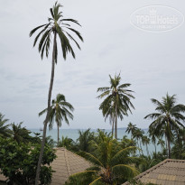 фото из отзыва ID 2736945