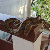 фото из отзыва ID 2736945