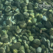 фото из отзыва ID 2736995