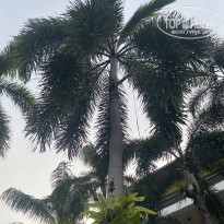 фото из отзыва ID 2737000