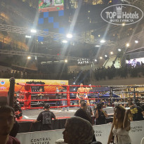 фото из отзыва ID 2737000