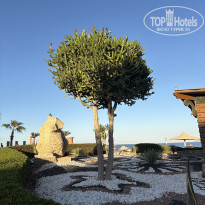 фото из отзыва ID 2737017