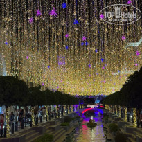 фото из отзыва ID 2737039