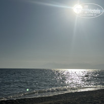 фото из отзыва ID 2737039