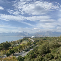 фото из отзыва ID 2737041