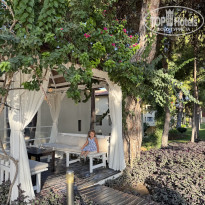 фото из отзыва ID 2736996